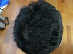200809060010.JPG